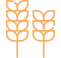 Grains